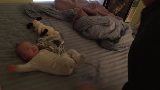 Grandpa reaction Meets Grand Son First Time