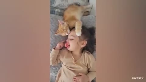 Funny and cute Cat and Owner videos🤣😅
