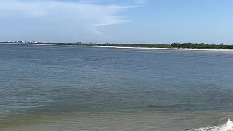 Livestream Replay - Just Another Manatee Monday - Little Hickory Beach Bonita Springs, FL