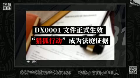 【七哥庭审系列】 Day 7 “猎狐行动”正式成为法庭证据 #STK #七哥庭审系列