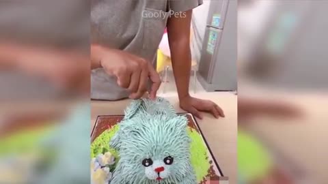 Cat Reaction To Cutting Cake- Funny Dog Cake Reaction
