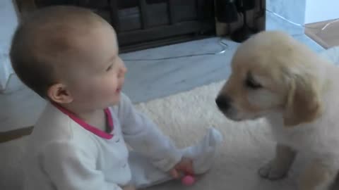 Baby and Puppy meet for the first time!