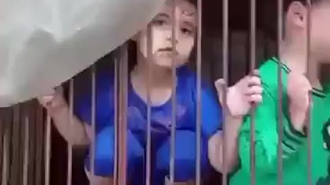 ISRAEL CHILDREN KIDNAPPED BY HAMAS ARE BEING KEPT IN CAGES THEIR CAPTORS TAUNT AND LAUGH AT THEM