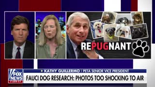 RePUGnant: Dr. Fauci Is Out Here Slaying Beautiful Dogs!