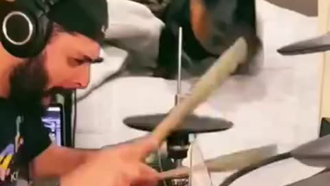 Ear Flapping Wiener Dog Drummer