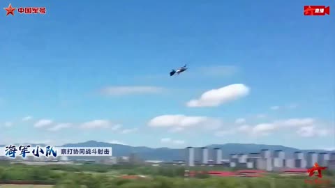 China developed a bird-like drone