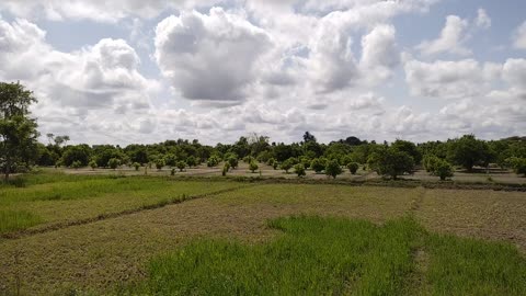 After rain 🌧️🌧️🌧️ view 🪟 in the village