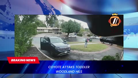 Coyote attacks young child on Woodland Hills front lawn
