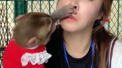chú khỉ khám bệnh cho chủ nhân