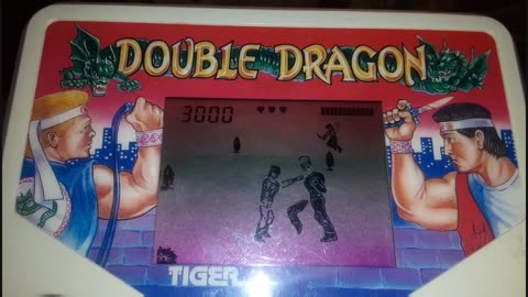 Straight Edge Game Room - Electronic Double Dragon