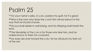 Daily Devotion Psalm 25