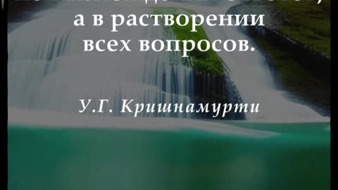 Цитаты. У.Г. Кришнамурти #shorts