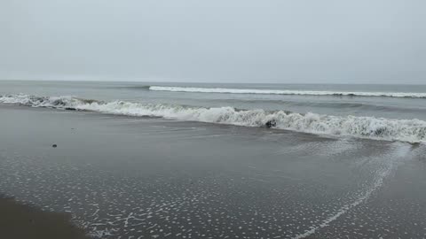 Calm Waves and soothing clouds.