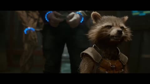 Rocket raccoon confused for other animals