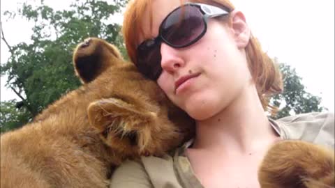 Lion cubs show love to human friend