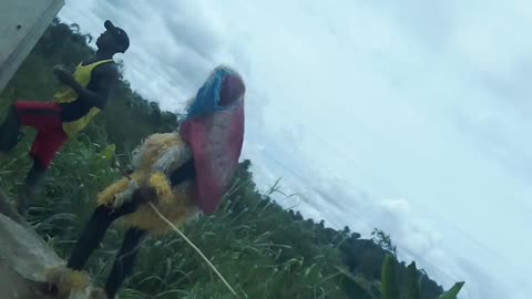 Masquerade - Southern Nigeria