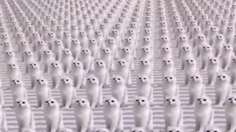 Hahaha, isn't the cat army awesome?