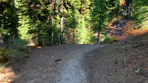 Oregon – Mount Hood – Alpine Forest Hiking at Triple Speed!