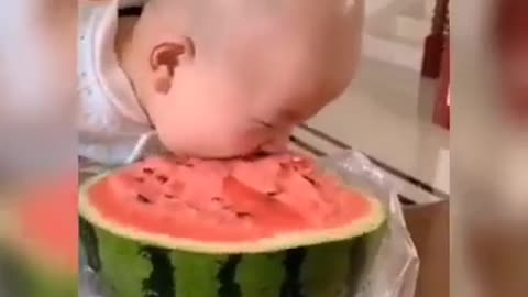 funny baby video