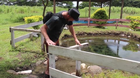 Hot Springs and Mud Baths near Nadi, Fiji