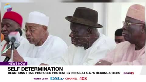 Reactions Trail Proposed Protest By Ninas At UN Headquarters | NEWS