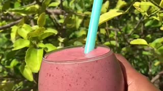 Foodbaby Smoothie