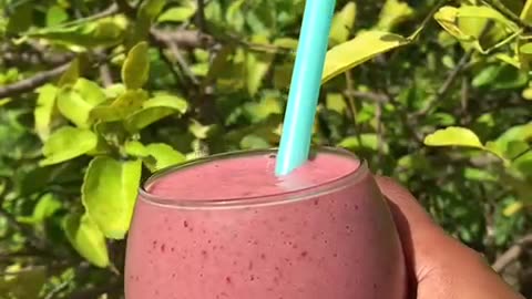 Foodbaby Smoothie