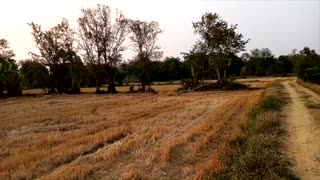 My Southeast Asia Life - Can you see Ghosts in this Field?