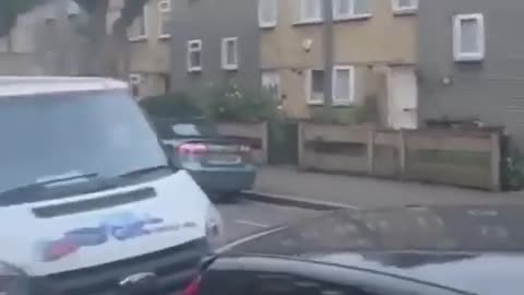 A seagull attacks a Jew in Golders Green