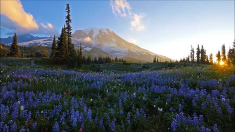 Morning in Cyrodiil (with accompanying Ambience) — Jeremy Soule's Sunrise of Flutes & Harvest Dawn