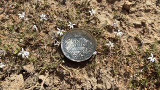 The Awesome Sterling Silver Metal Detecting