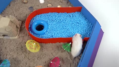 Pool Maze for Hamster - Rainbow Pyramid Maze