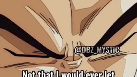 Vegeta Alpha Male Advice