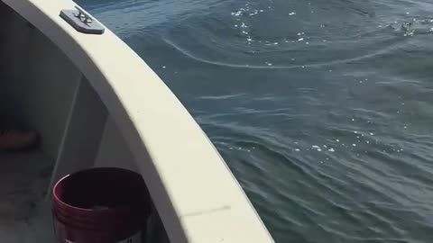 George & Andrew King Fishing Long Island Sound