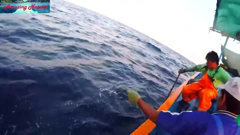 Amazing skill | How to Catching Dorado Fish | Mahi Mahi | on Flying Fish | Big сatch