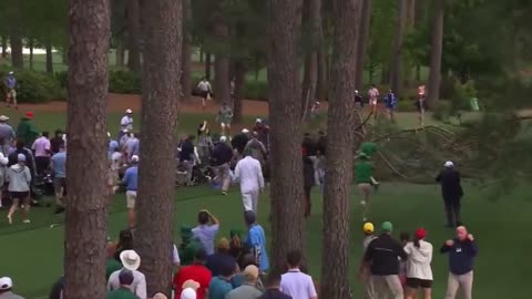 A large tree almost crushed a crowd of people during the master golf tournament