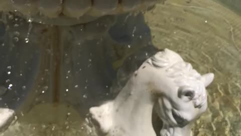 Slow motion water drops