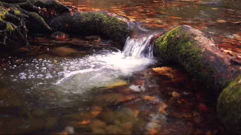 Reels 4K Babbling Brook Ambience Deep Sleep Relaxing Water Sounds