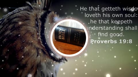 Holy Bible Proverbs 19