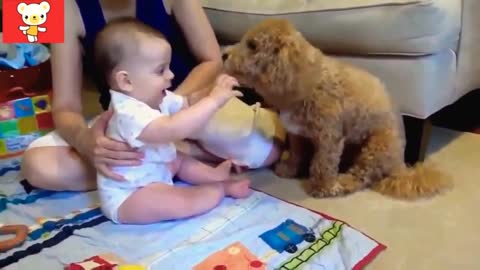 Funniest pets and giggling kids for 2022