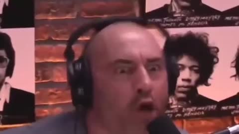 Joe Rogan Freaks Out Over Chimps