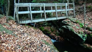 Foot Bridge