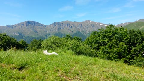 Bulgaria Stara Planina Central Balkan Chalet Mazalat