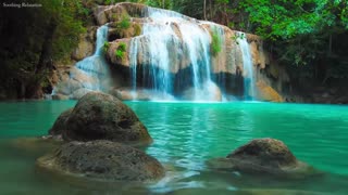 Relaxing Zen Music with Water Sounds • Peaceful Ambience for Spa, Yoga and Relaxation