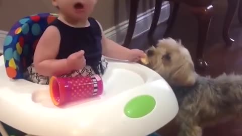 Baby Trying To Trick The Dog But The Dog Was Way Too Smart