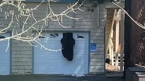 Bear Climbs Into Garage of Lake Tahoe Home