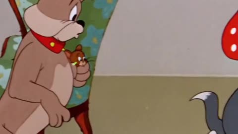 Tom and Jerry cartoon funny Video, kid's cartoon videos, cartoon funny Video