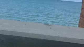 Nice Puerto Rico nice view