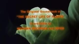 The Secret Life of Plants