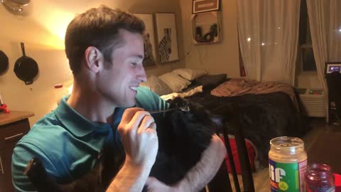 Kitten Enjoys Licking Peanut Butter off Spoon While Man Holds Him in Lap